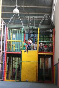 Flying Fox Indoor