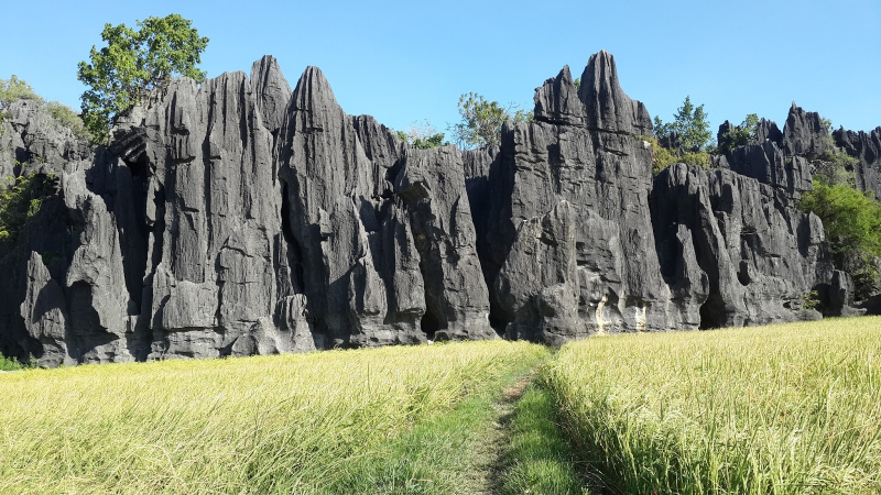 Karst, si Tanah Gersang yang Memiliki Banyak Manfaat 