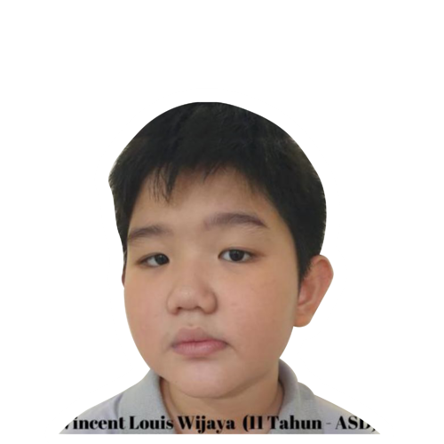 Vincent Louis Wijaya 