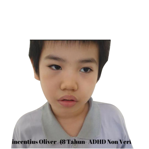 Vincentius Oliver Junius